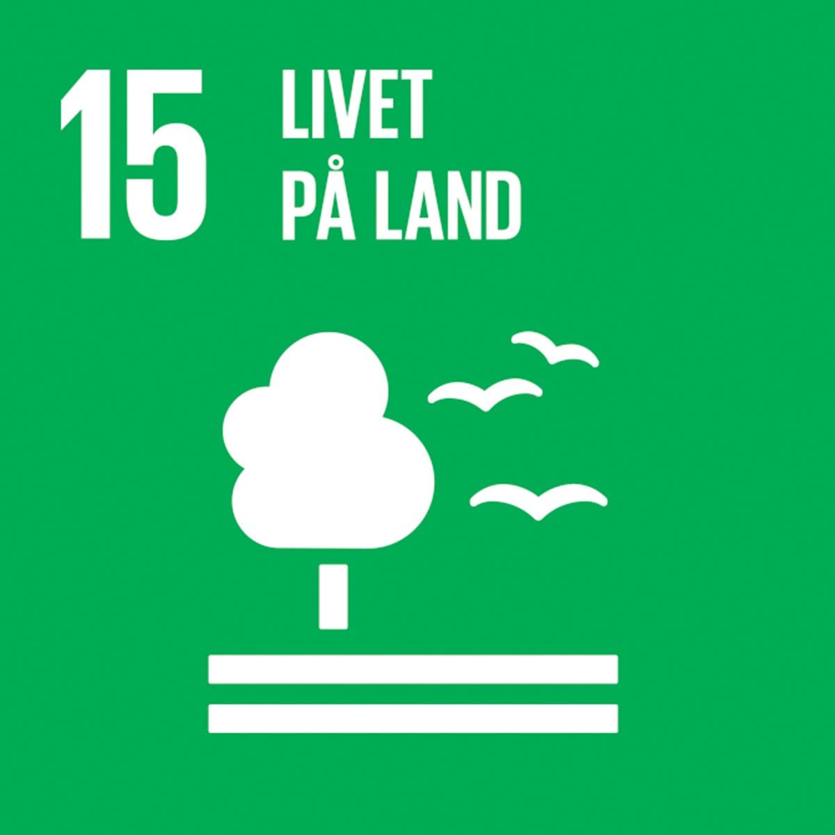 Verdensmål 15