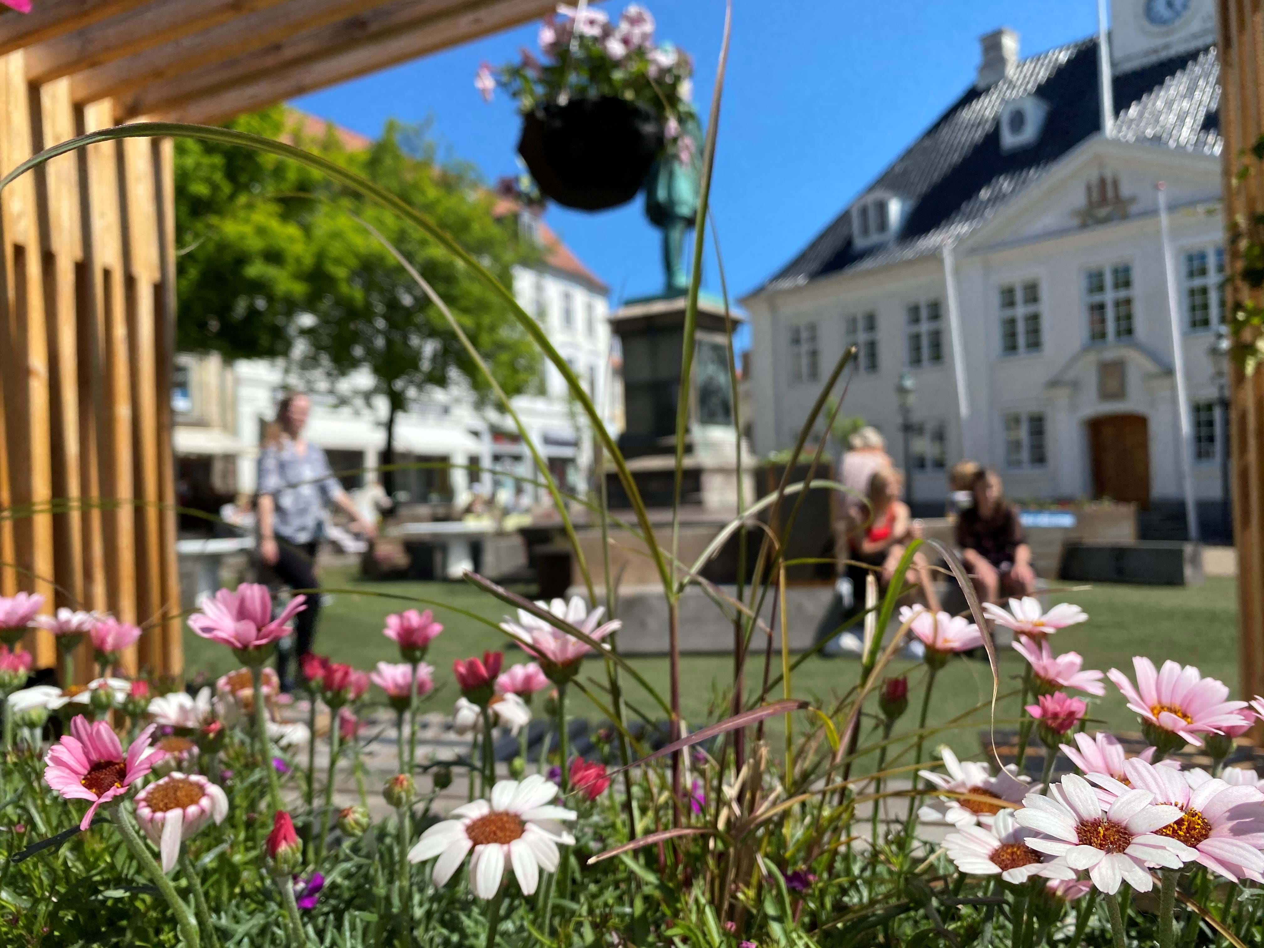 Rådhushaven